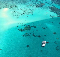 Ocean Free and Ocean Freedom - Cairns Premier Reef and Island Tours - Surfers Gold Coast