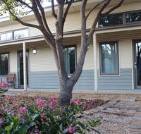 The Grape and Olive in Willunga - Surfers Gold Coast