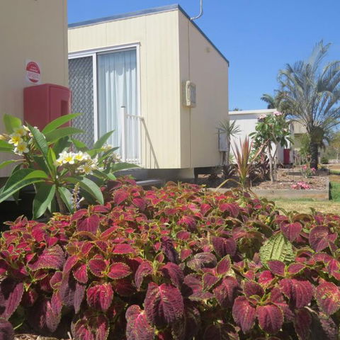Bluewater Caravan Park - Surfers Gold Coast 3