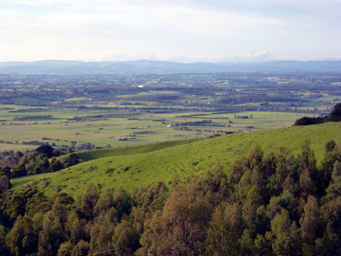 Anderley - Surfers Gold Coast 6