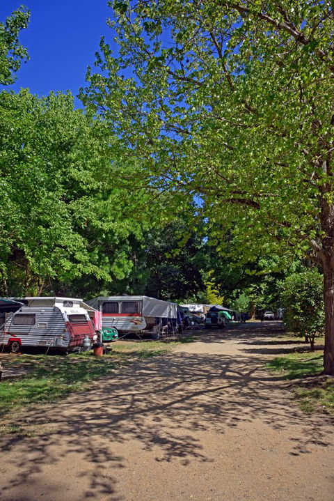 Ardern's Caravan Park, Myrtleford - Surfers Gold Coast 1