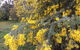 Balcraggon Accommodation - thumb 8