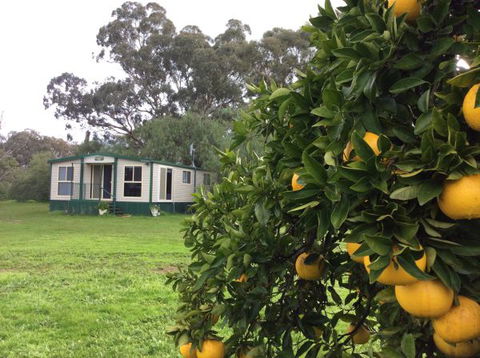 Balcraggon Accommodation - Surfers Gold Coast 9