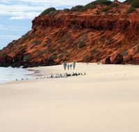 Herald Bight Camp at Francois Peron National Park - Surfers Gold Coast