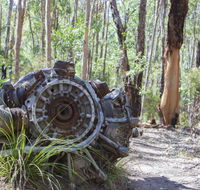 Kroombit Tops National Park Camping Ground - Surfers Gold Coast