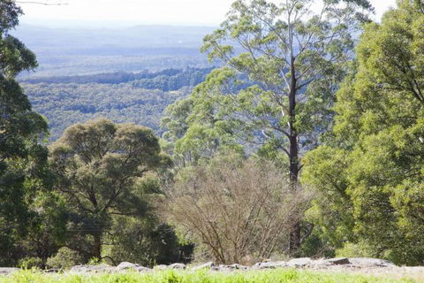 The Jungle Lodge, Blue Mountains Botanic Gardens - Surfers Gold Coast 6