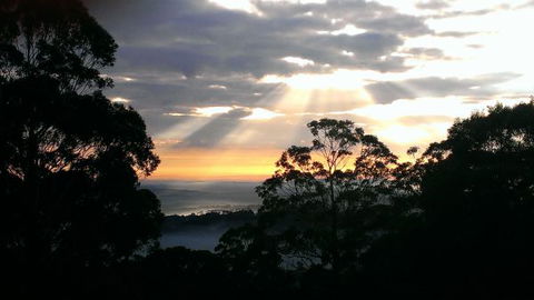 The Jungle Lodge, Blue Mountains Botanic Gardens - Surfers Gold Coast 8