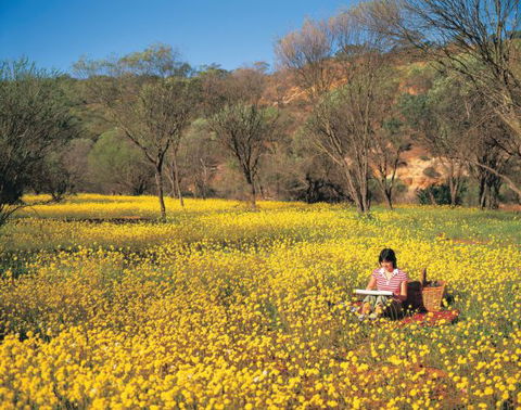 Miners Camp At Coalseam National Park - Surfers Gold Coast 0