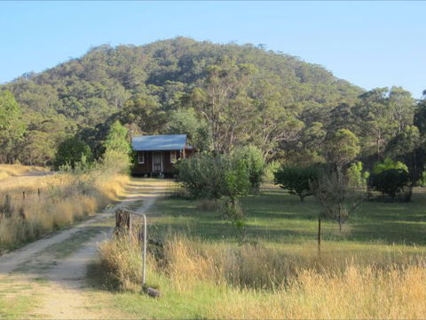 Peach Tree Cabin - Surfers Gold Coast 1