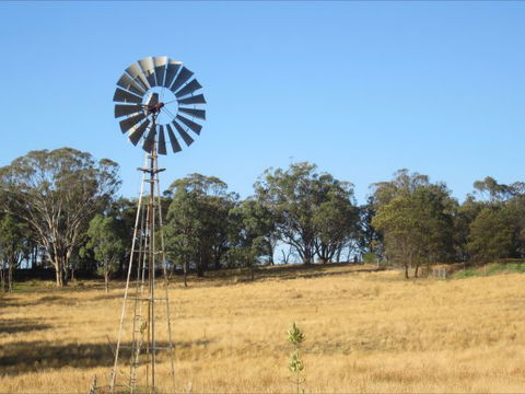 Peach Tree Cabin - Surfers Gold Coast 8
