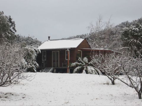Peach Tree Cabin - Surfers Gold Coast 9