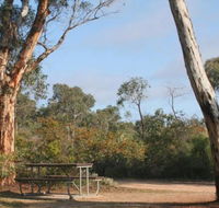 Drummonds Camp at Avon Valley National Park - Surfers Gold Coast