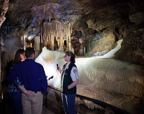Wilderness Retreats Buchan Caves Reserve - Surfers Gold Coast 6