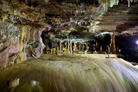 Wilderness Retreats Buchan Caves Reserve - Surfers Gold Coast 7