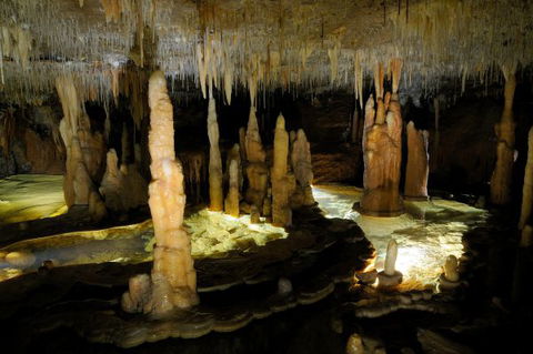 Wilderness Retreats Buchan Caves Reserve - Surfers Gold Coast 8