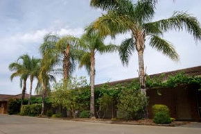 Darling Junction Motel - Surfers Gold Coast 2