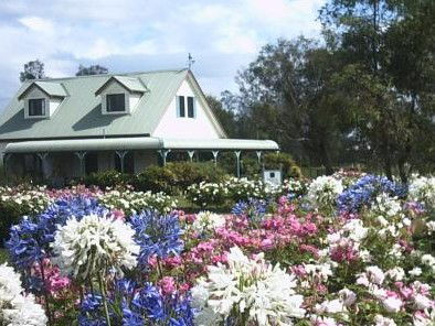 Emmas Cottage Vineyard - Surfers Gold Coast 0