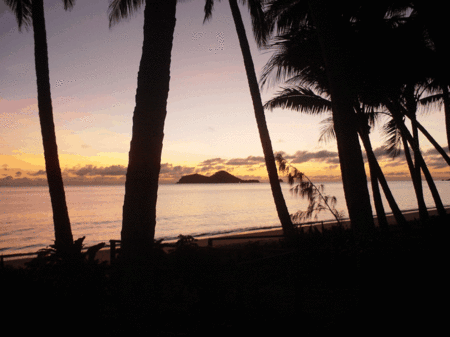 Ellis Beach Oceanfront Bungalows - thumb 1