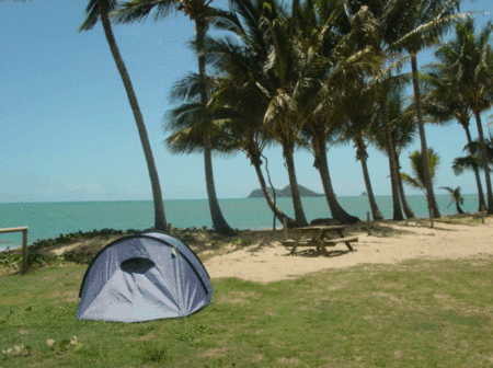 Ellis Beach Oceanfront Bungalows - Surfers Gold Coast 2