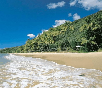 Ellis Beach Oceanfront Bungalows - thumb 3