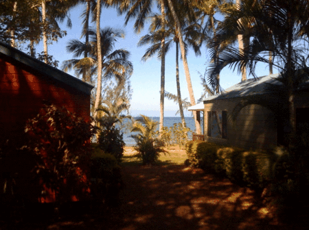 Ellis Beach Oceanfront Bungalows - thumb 5
