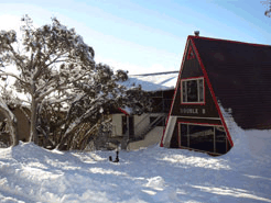 Double B Ski Lodge - Surfers Gold Coast 0