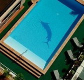 Pacific International Hotel - Surfers Gold Coast