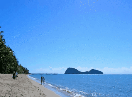 Tranquility Palm Cove - thumb 5
