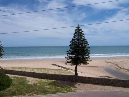 Christie's Seahorse - Surfers Gold Coast 1
