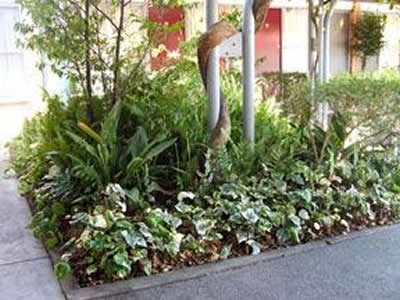 Comfort Inn Manhattan - Surfers Gold Coast 2