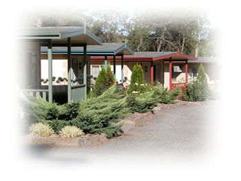 Kapunda Tourist Park - Surfers Gold Coast 1