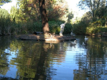 Lyndoch Hill Retreat - Surfers Gold Coast 2