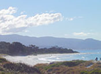 Bicheno On The Beach - Surfers Gold Coast 5