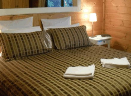 Sandpiper Ocean Cottages - Surfers Gold Coast 2