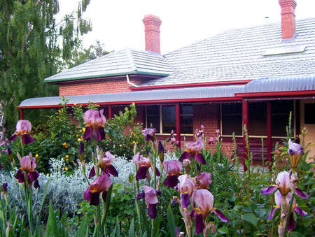 Donalea Bed & Breakfast - Surfers Gold Coast 0