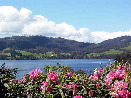 Donalea Bed & Breakfast - Surfers Gold Coast 1