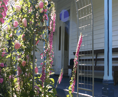 Devonport Bed And Breakfast - Surfers Gold Coast