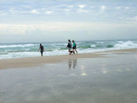 Alfies By The Sea - Surfers Gold Coast 0