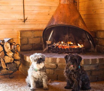 Glenaire Cottages - Surfers Gold Coast 0