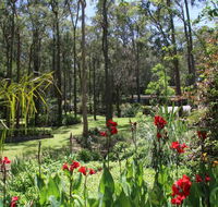 Werekataba - Surfers Gold Coast