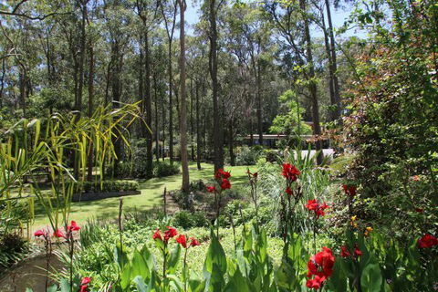 Werekataba - Surfers Gold Coast 0