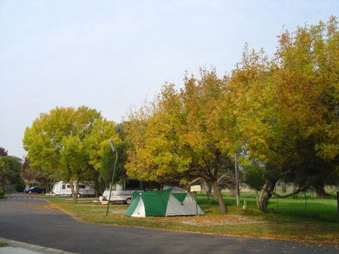 BIG4 Dandenong Tourist Park - Surfers Gold Coast 2
