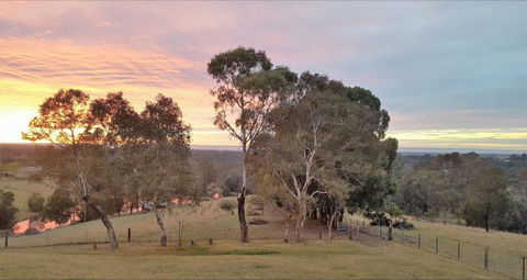 Blueberry Hills On Comleroy - Surfers Gold Coast 9