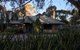 The Paddocks - thumb 0