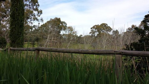 Garden Pavillion Bed And Breakfast At AL RU Farm - Surfers Gold Coast 3