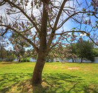 Breakaway Twin Rivers Caravan Park - Surfers Gold Coast