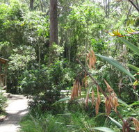 Dunns Creek Downs Nature Stay - Surfers Gold Coast