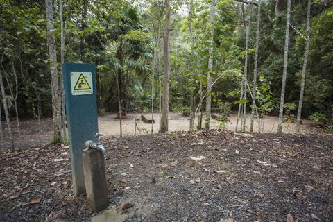 Eungella National Park Camping Ground - Surfers Gold Coast 2