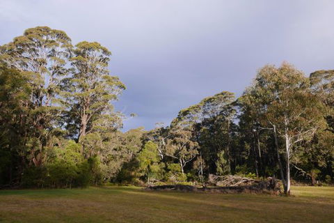 Fernhill Chestnut Farm - Surfers Gold Coast 2