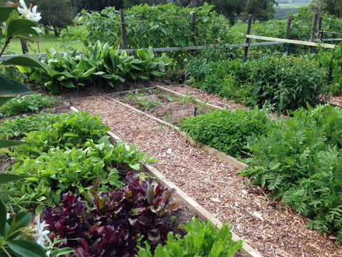 Jamberoo Valley Farm - Surfers Gold Coast 3